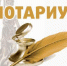 О проведенных проверках нотариусов - Министерство юстиции