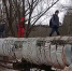 В Новосибирске ученики вынуждены добираться до школы, шагая по трубе - Агентство новостей ТВ-2