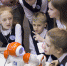 «Ростелеком» в Томске выступил партнером чемпионата RoboCup Russia Open 2019 - ГТРК Томск
