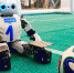 Соревнования RoboCup перенесены! - SportUs.Pro