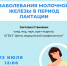 Прямой эфир «Заболевания молочной железы в период лактации» пройдет в Instagram - Томский ЦМП
