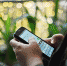 МТС начала продавать SIM-карты с саморегистрацией на Wildberries - Агентство новостей ТВ-2
