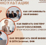 ОТКРЫТА запись на бесплатные консультации для предпринимателей и граждан, планирующих открыть своё дело. Консультации проводятся квалифицированными сотрудниками ООО «Центр бизнес-технологий» в Центре Оказания Услуг «Мой бизнес».  ⠀ - Малый и средний бизнес