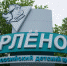 Ребят из школьных лесничеств приглашают на профильную смену в «Орлёнок» - Департамент общего образования