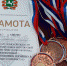 Единоборцы разыграли медали чемпионата области по самообороне - СпортЛатат