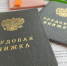 Сезон огородов и отпусков не помешал томичам активнее искать работу - Tomsk.Ru