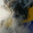 Поджигатель - FlashSiberia