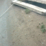 Томские спасатели вызволили замурованных под бетонными плитами собак - ГТРК Томск