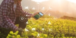 30 команд от Мурманска до Владивостока поборются в финале AgroCode Hack 2022
