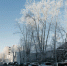 10 тысяч раз томские водители нарушили ПДД за прошедшую неделю - Tomsk.Ru