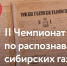 Томичей приглашают на чемпионат по распознаванию сибирских газет XIX века - Томский обзор