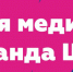 Выбираем самые популярные и активные в соцсетях команды ШФЛ - ТОФФ