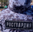 Росгвардейцы обеспечили безопасность томского полумарафона - Росгвардия
