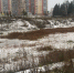 Озеро Док в Северске планируют искусственно наполнить водой - ГТРК Томск