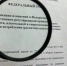 Президент подписал закон, который позволяет регионам устанавливать правила работы для "наливаек" - Законодательная Дума