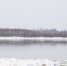 Превышение уровня воды в Оби сохраняется на трех участках в Томской области - ГТРК Томск