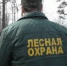 Оперативная лесопожарная информация - Департамент лесного хозяйства