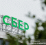 Спрос на вклады в Сбере среди сибиряков вырос за неделю на 28% - News.VTomske.Ru