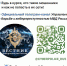 Жителям Томской области напоминают правила защиты личного аккаунта на «Госуслугах» - Администрация Томской области