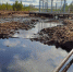 Томская фирма загрязнила нефтепродуктами около 3,5 га земель - Tomsk.Ru