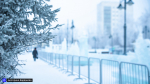 Теплый Новый год: температура 31 декабря не опустится ниже -15°С