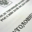 Перед судом предстанет жительница Первомайского района по обвинению в даче заведомо ложных показаний - Следственный комитет
