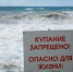 17% томичей могут отказаться от отпуска на Черном море из-за экологической катастрофы - Комсомольская Правда