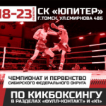 Томск примет чемпионат и первенство Сибири по кикбоксингу