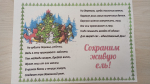 В Томской области подвели итоги творческих природоохранных конкурсов
