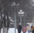 Небольшой снег и порывистый ветер ожидаются в Томске в среду - РИА Томск
