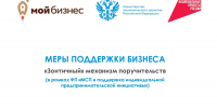 Более миллиарда рублей привлек малый и средний бизнес региона в сфере науки и производства при помощи государства в 2024 году - Администрация Томской области