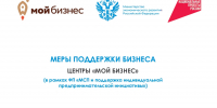 Предприниматели Шегарского района на выездном семинаре узнали о мерах господдержки - Администрация Томской области