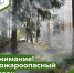 В Томской области объявлено о начале пожароопасного сезона - Администрация Томской области