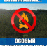 В Томской области установлен особый противопожарный режим - Департамент лесного хозяйства