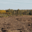 Вред природе обойдется компании из Томской области в 670 миллионов - Tomsk.Ru
