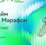 Зеленый Марафон в Томске переносится на нижнюю террасу Лагерного сада - Tomsk.Ru