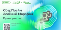 Зеленый Марафон в Томске переносится на нижнюю террасу Лагерного сада - Tomsk.Ru