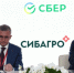 Сбер и «Сибагро» договорились о стратегическом сотрудничестве в сфере ИИ - NIATomsk.Ru