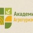 Приглашаем на бесплатные курсы повышения квалификации для грантополучателей - Департамент по социально-экономическому развитию села