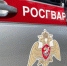 В Томске сотрудники Росгвардии и служба безопасности гипермаркета задержали подозреваемую в краже - Росгвардия