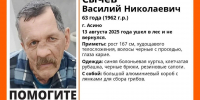 Волонтеры объявили общий сбор для поиска томича - Комсомольская Правда