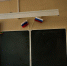 Опрос: 75% сибиряков считают, что школьников необходимо обучать использованию ИИ - Комсомольская Правда