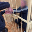 В Томске раскрыли заказное убийство 25-летней давности - Комсомольская Правда