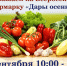 Томичей приглашают на ярмарку «Дары осени» - Администрация Томской области