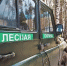 В Томской области на минувшей неделе обошлось без лесных пожаров - Департамент лесного хозяйства