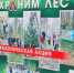 Аллея Победы из молодых сосен появилась в Академгородке - NIATomsk.Ru