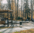 Флору томского Буфф-сада пополнили плакучие ивы и черемухи - Tomsk.Ru