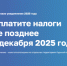 В Томской области началась рассылка налоговых уведомлений - Департамент экономики