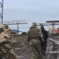 В Томске при силовой поддержке спецназа Росгвардии проверены заведения общественного питания, строительные и лесоперерабатывающие объекты (видео) - Росгвардия
