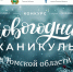 Конкурс «Новогодние каникулы в Томской области» впервые пройдет в регионе - Администрация Томской области